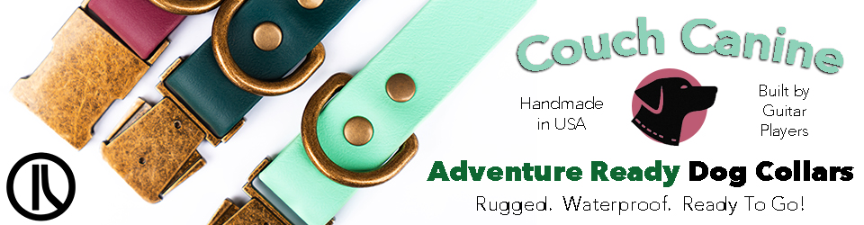 Dog Leashes & Collars