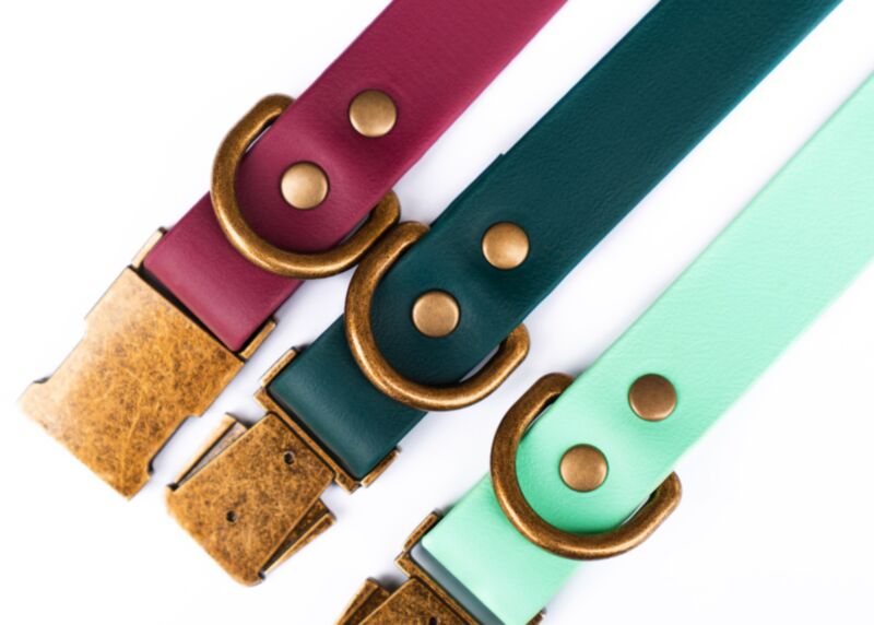 Couch Canine Collar - Adventure Ready Dog Collar