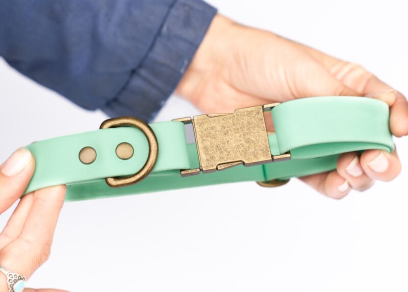 Couch Canine Collar - Adventure Ready Dog Collar 