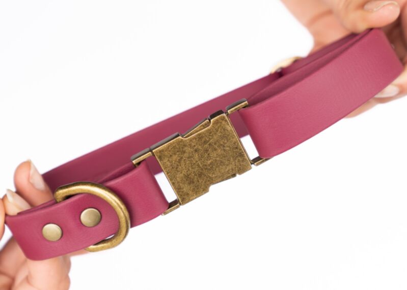 Couch Canine Collar - Adventure Ready Dog Collar