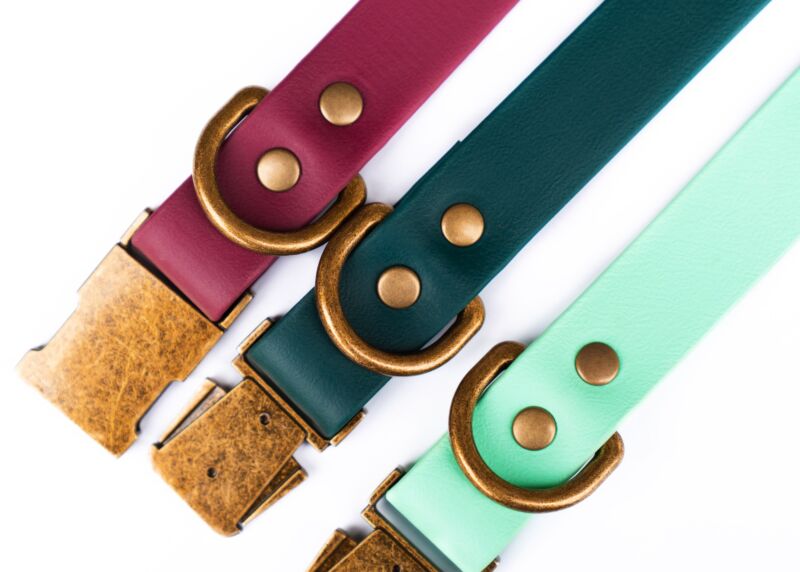 Couch Canine Collar - Adventure Ready Dog Collar