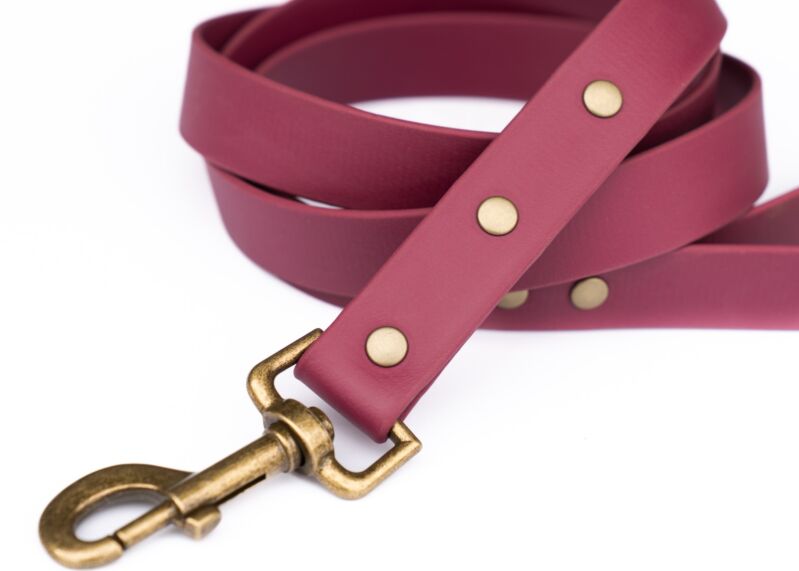 Couch Canine Dog Leash - Adventure Ready Dog Leash