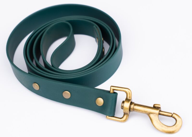 Couch Canine Dog Leash - Adventure Ready Dog Leash