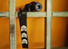 The Couch Cat Camera Strap- Black With White Cats