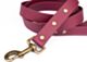 Couch Canine Dog Leash - Adventure Ready Dog Leash
