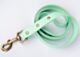 Couch Canine Dog Leash - Adventure Ready Dog Leash 