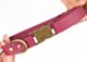 Couch Canine Collar - Adventure Ready Dog Collar