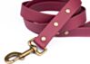Couch Canine Dog Leash - Adventure Ready Dog Leash