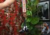 Cork and Orange Flowers Camera Strap