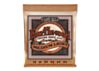 Earthwood Medium Light ACOUSTIC Guitar Strings