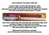 Couch Canine Collar - Adventure Ready Dog Collar
