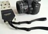 Royal Palms Palm Tree Camera Strap