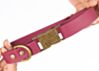Couch Canine Collar - Adventure Ready Dog Collar