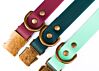 Couch Canine Collar - Adventure Ready Dog Collar