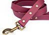 Couch Canine Dog Leash - Adventure Ready Dog Leash