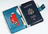 Jet Age Full Sized Passport Wallet, Passport Holder
