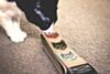 The Couch Multi-Colored Cat Guitar Strap