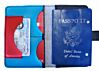 Aladdin Sane Lightning Bolt Passport Wallet - 2 color options