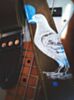 Social Studies Brown Birdstrap Guitar Strap