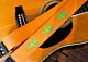Neon Cactus Vintage Guitar Strap